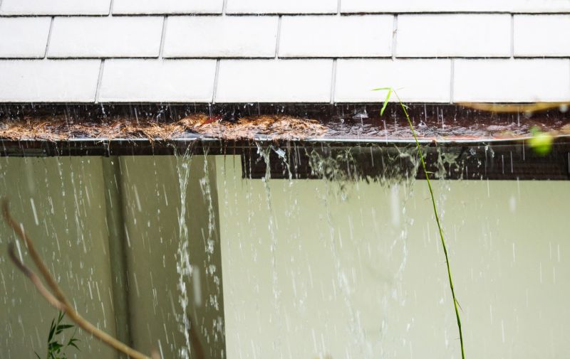 Clogged Gutter Clearing