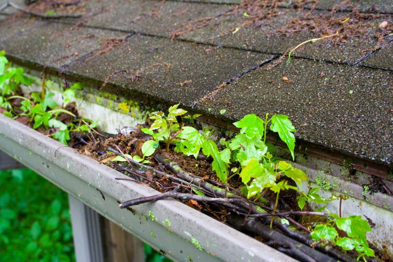 Clogged Gutters