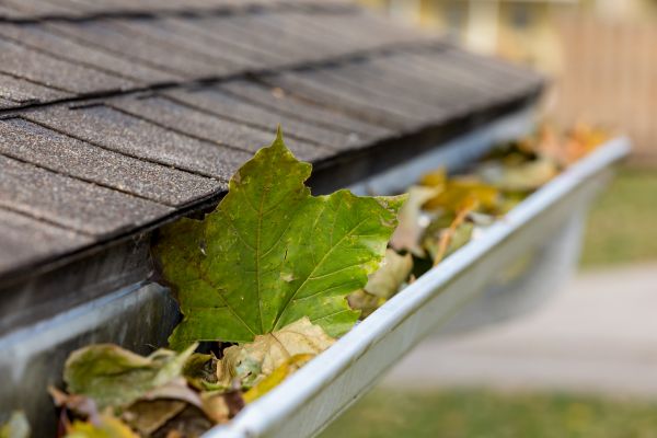 Gutter System Cleaning in Brick
