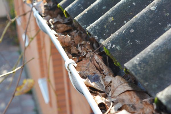 Home Gutter Cleaning in Brick
