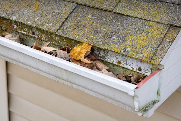 Garage Gutter Cleaning in Brick